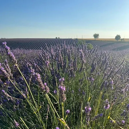 Bed & Breakfast Takamaka 3*