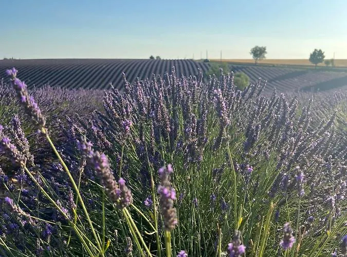 Couette-café Takamaka 3*